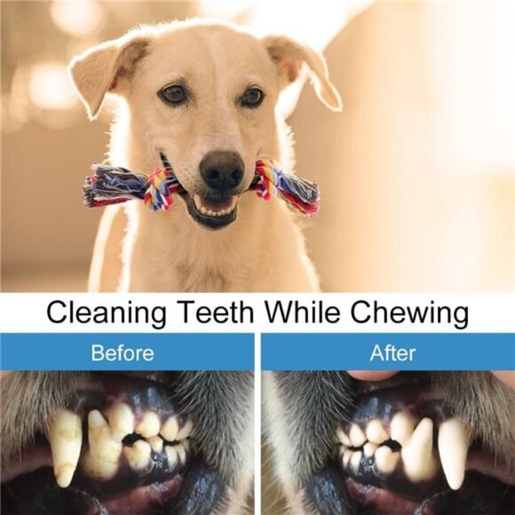 Pet Dog Chew Toys for Chewers, 8 pack Interactive Washable - Picture 4 of 5